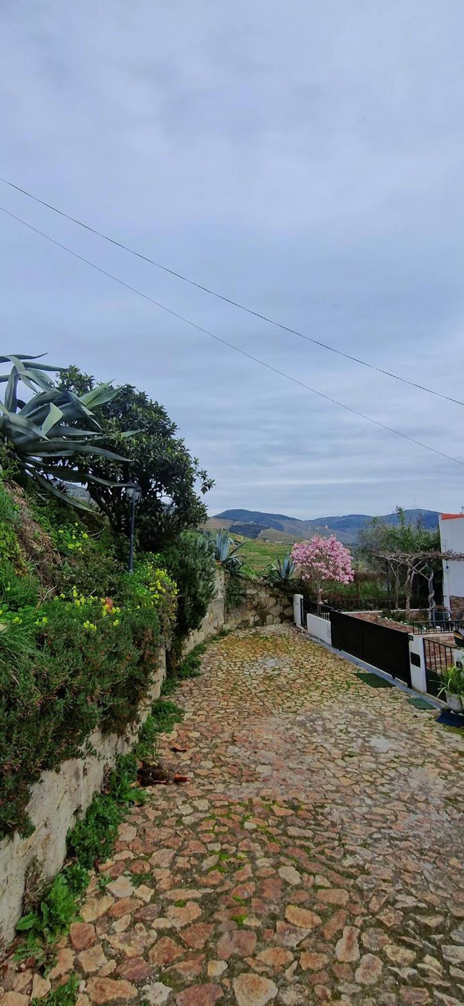 فيلا Casa Rodrigues Pinhão المظهر الخارجي الصورة