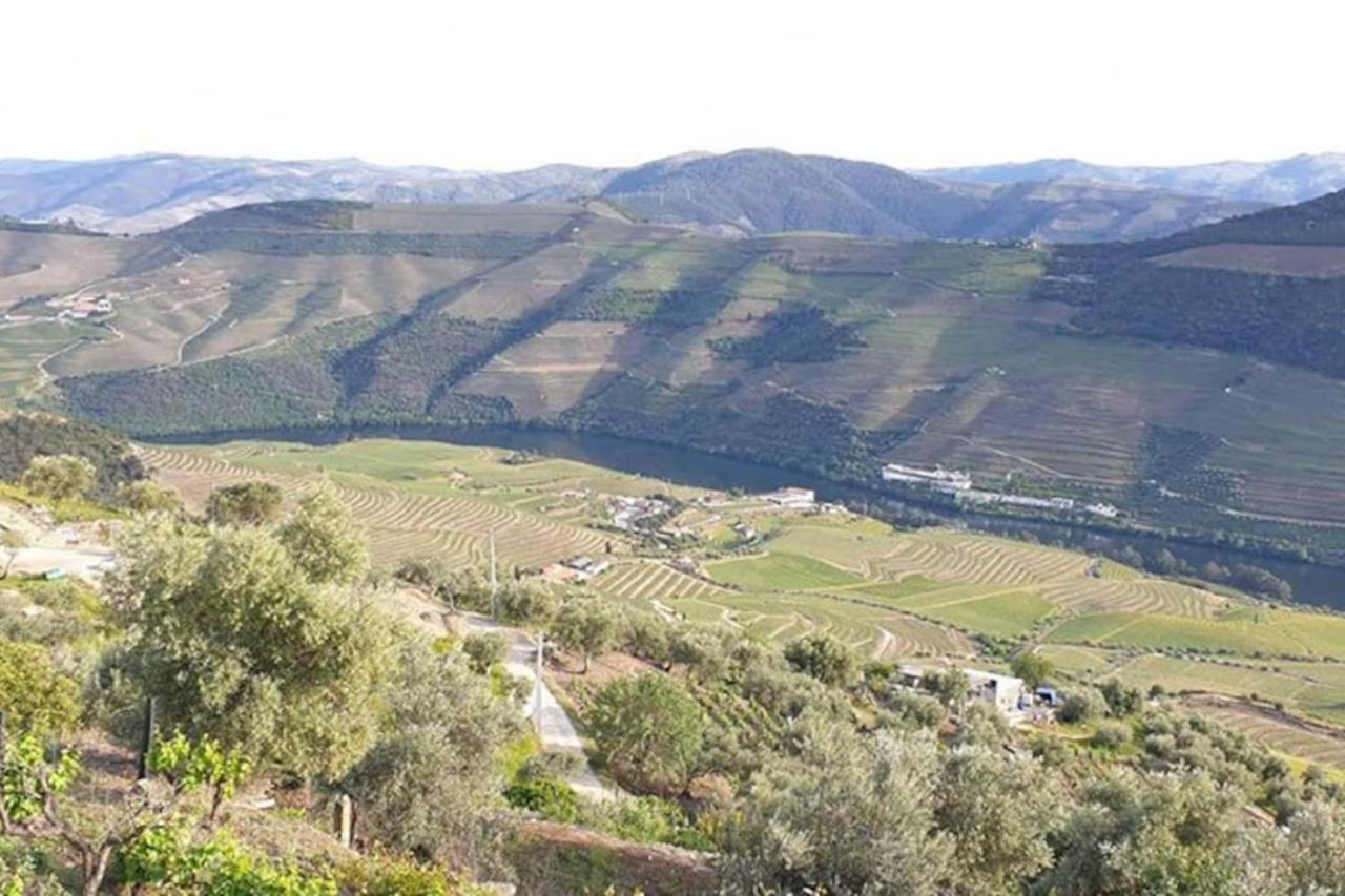 فيلا Casa Rodrigues Pinhão المظهر الخارجي الصورة
