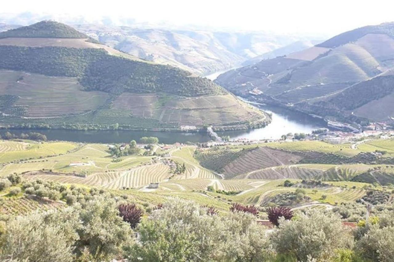 فيلا Casa Rodrigues Pinhão المظهر الخارجي الصورة