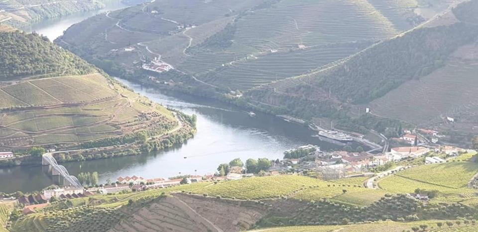 فيلا Casa Rodrigues Pinhão المظهر الخارجي الصورة